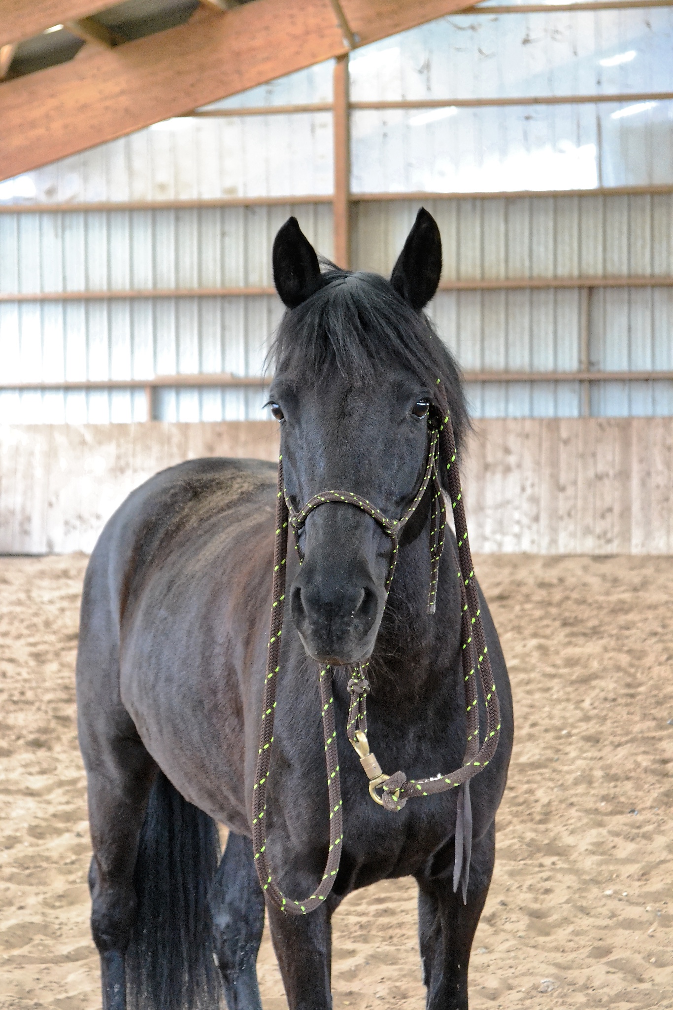 compass 146166-Working