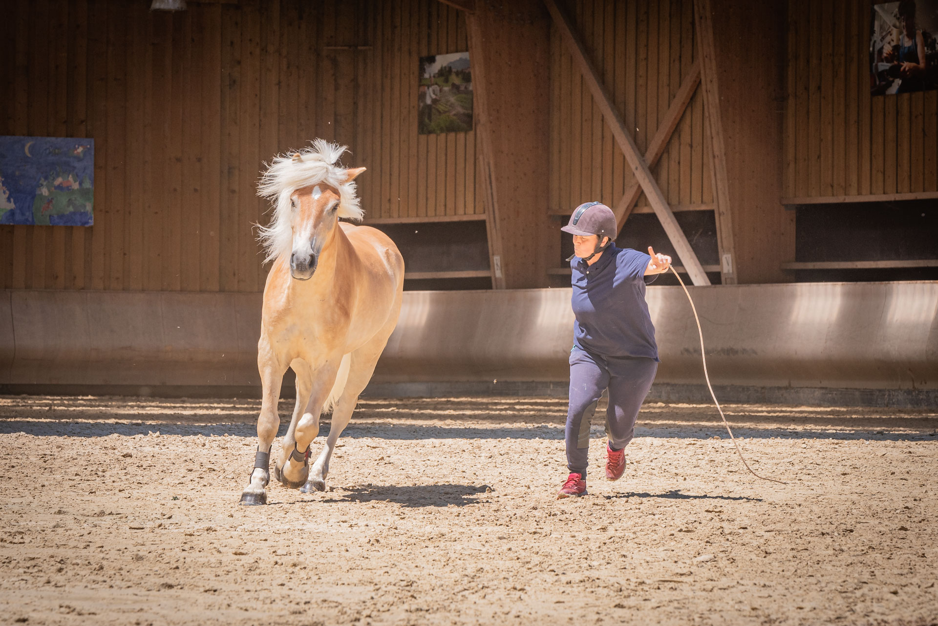 compass 146166-Working